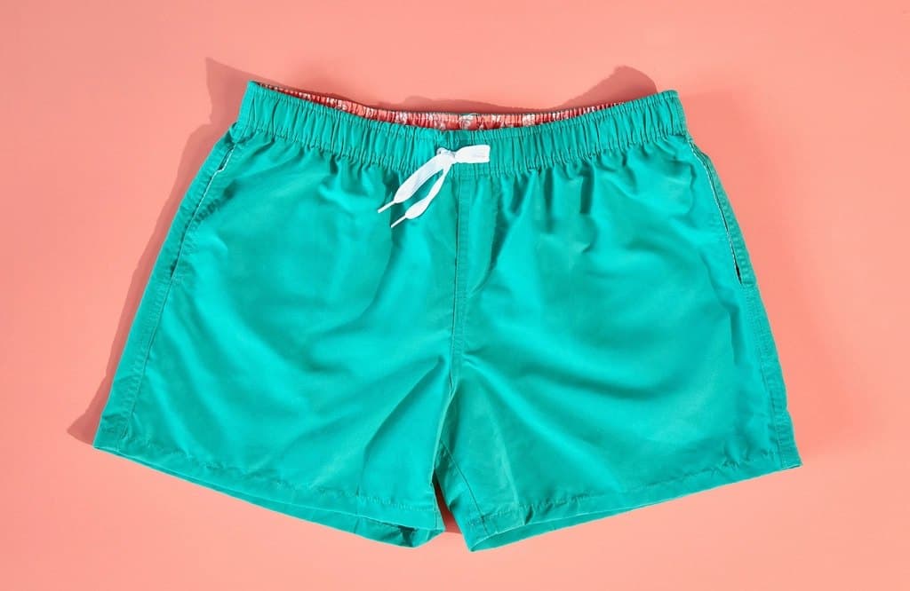Drawstring Swim Shorts